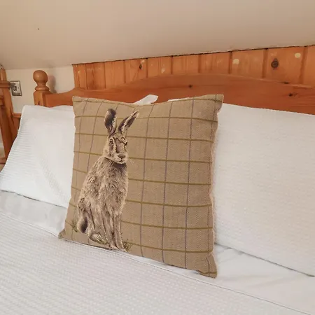 Tatil Evi Horseshoe Middlesbrough